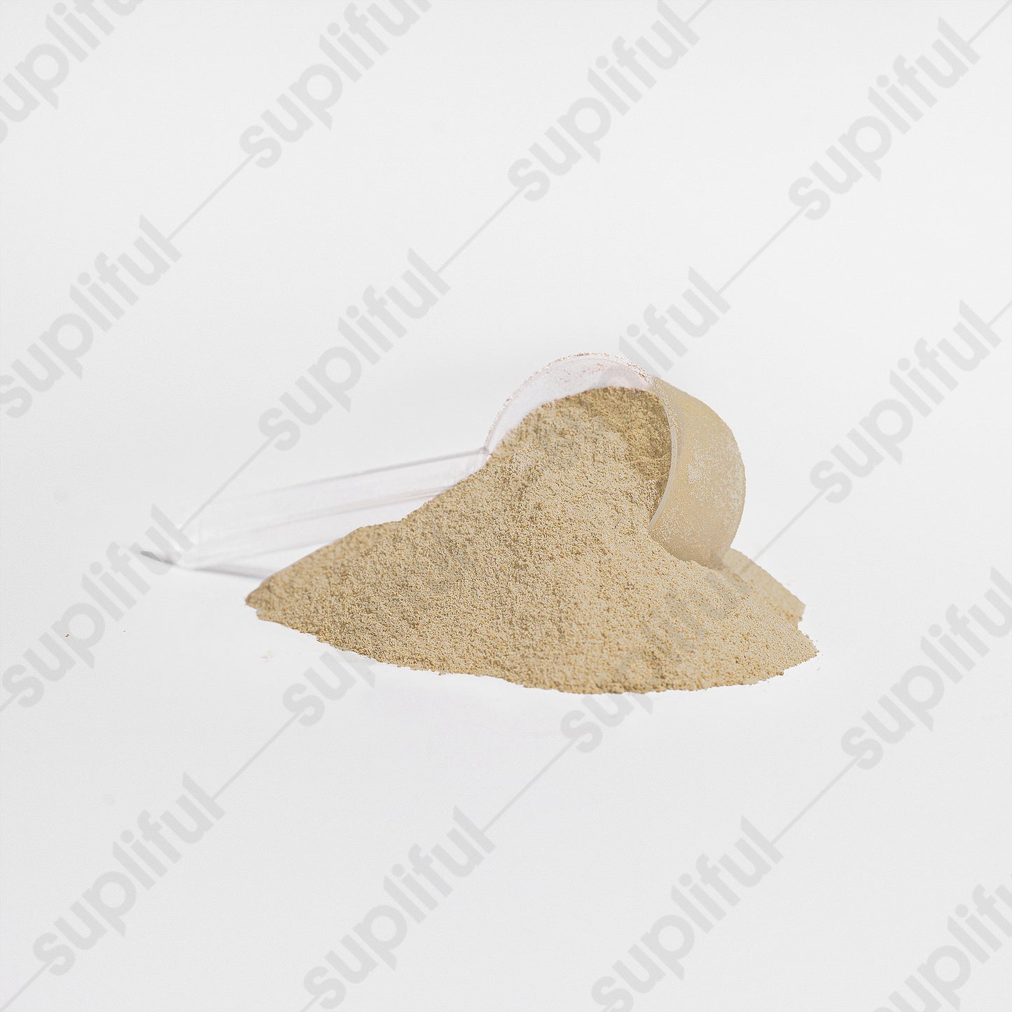 BIG DASH Advanced 100% Whey Protein Isolate (Vanilla)